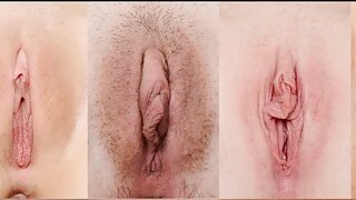 الأم الحائرة فجرت أفضل سكس ديوث اجنبي شراع لابن